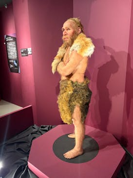 特別展「氷河期展 〜人類が見た4万年前の世界〜」（国立科学博物館）に投稿された画像（2025/8/18）