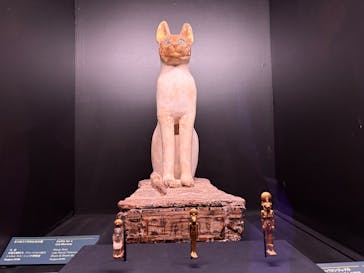 ACN ラムセス大王展 ファラオたちの黄金に投稿された画像（2025/8/18）