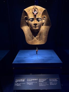 ACN ラムセス大王展 ファラオたちの黄金に投稿された画像（2025/8/18）
