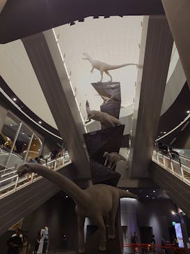 福井県立恐竜博物館に投稿された画像（2025/8/18）