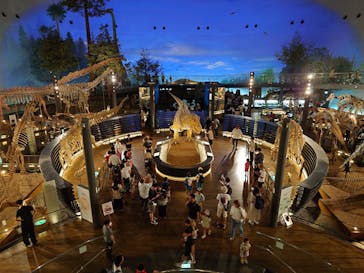 福井県立恐竜博物館に投稿された画像（2025/8/18）