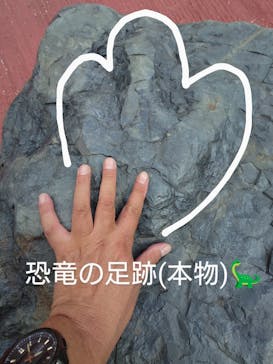福井県立恐竜博物館に投稿された画像（2025/8/18）