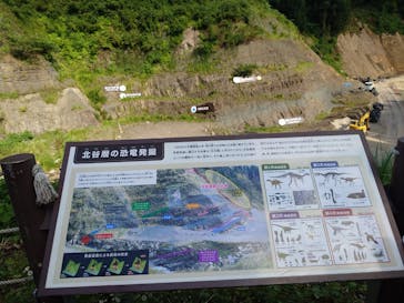 福井県立恐竜博物館に投稿された画像（2025/8/18）