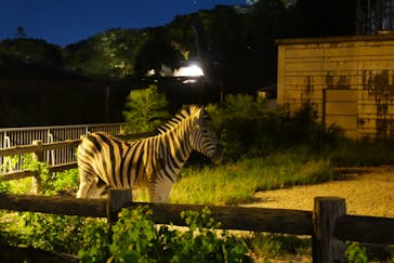 名古屋市東山動植物園に投稿された画像（2025/8/18）