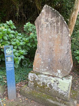江の島シーキャンドル×新江ノ島水族館に投稿された画像（2025/8/18）