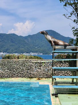 あわしまマリンパークに投稿された画像（2025/8/18）