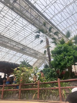 東京サマーランドに投稿された画像（2025/8/18）