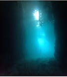 武藤潜水に投稿された画像（2025/8/18）