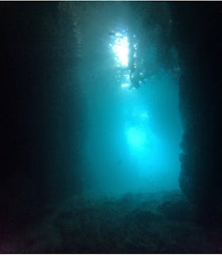 武藤潜水に投稿された画像（2025/8/18）