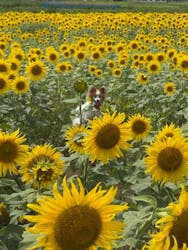 猪苗代ハーブ園に投稿された画像（2025/8/18）