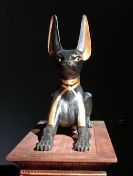 MYSTERY OF TUTANKHAMEN 体感型古代エジプト展に投稿された画像（2025/8/18）