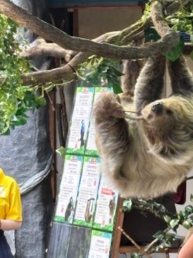 那須どうぶつ王国に投稿された画像（2025/8/18）