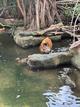 那須どうぶつ王国に投稿された画像（2025/8/18）