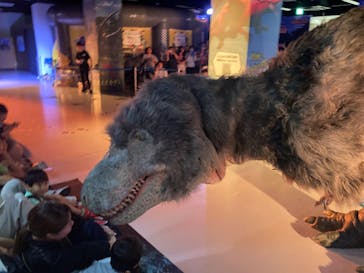 最強王図鑑フェスティバル in 東京タワーに投稿された画像（2025/8/18）