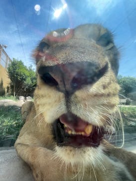 東武動物公園に投稿された画像（2025/8/18）