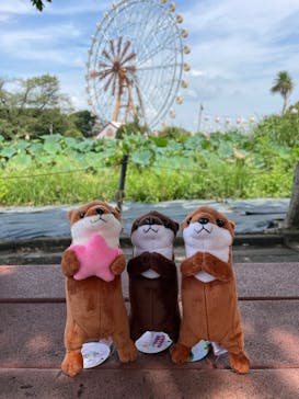 東武動物公園に投稿された画像（2025/8/18）