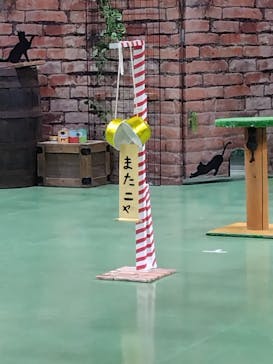 那須どうぶつ王国に投稿された画像（2025/8/18）