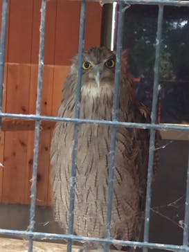 那須どうぶつ王国に投稿された画像（2025/8/18）