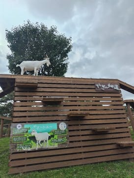 那須どうぶつ王国に投稿された画像（2025/8/18）