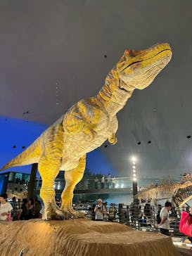 福井県立恐竜博物館に投稿された画像（2025/8/18）