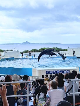 沖縄美ら海水族館に投稿された画像（2025/8/18）