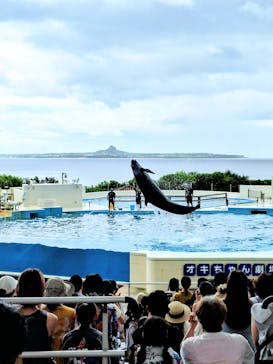 沖縄美ら海水族館に投稿された画像（2025/8/18）