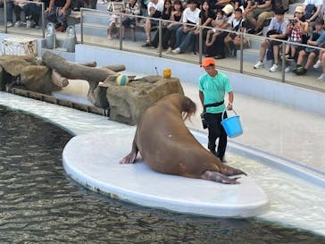 城崎マリンワールドに投稿された画像（2025/8/18）