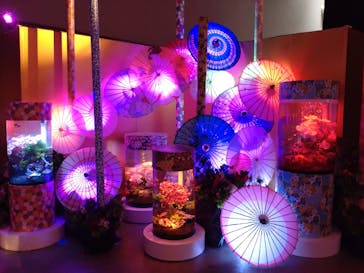 錦鯉・金魚アクアリウム in ときメッセに投稿された画像（2025/8/18）