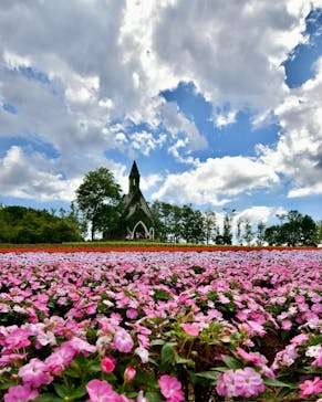 牧歌の里に投稿された画像（2025/8/18）