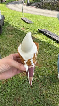 牧歌の里に投稿された画像（2025/8/18）