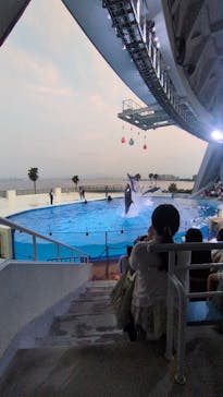 マリンワールド海の中道に投稿された画像（2025/8/18）