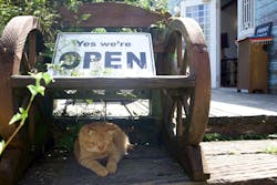 ホワイトサドルに投稿された画像（2025/8/18）