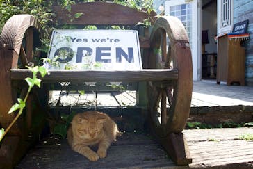 ホワイトサドルに投稿された画像（2025/8/18）