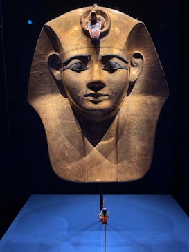 ACN ラムセス大王展 ファラオたちの黄金に投稿された画像（2025/8/18）