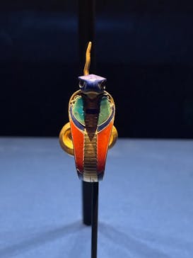 ACN ラムセス大王展 ファラオたちの黄金に投稿された画像（2025/8/18）