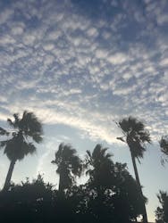 龍宮城スパホテル三日月に投稿された画像（2025/8/18）