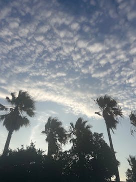 龍宮城スパホテル三日月に投稿された画像（2025/8/18）