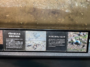 新江ノ島水族館に投稿された画像（2025/8/18）