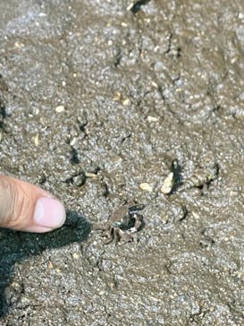 新江ノ島水族館に投稿された画像（2025/8/18）