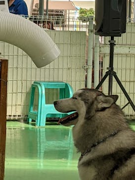 つくばわんわんランドに投稿された画像（2025/8/18）