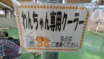 つくばわんわんランドに投稿された画像（2025/8/18）