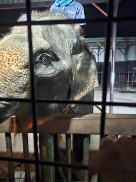 那須サファリパークに投稿された画像（2025/8/18）