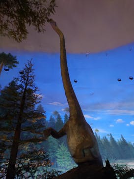 福井県立恐竜博物館に投稿された画像（2025/8/18）