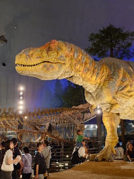 福井県立恐竜博物館に投稿された画像（2025/8/18）