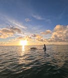 宮古島マリン SUGAR3（シュガースリー）に投稿された画像（2025/8/18）