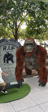 君も博士になれる展 in東京ミッドタウン八重洲に投稿された画像（2025/8/18）