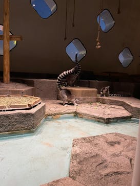 NIFREL（ニフレル）に投稿された画像（2025/8/18）