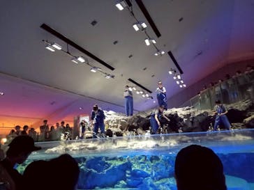 すみだ水族館に投稿された画像（2025/8/18）