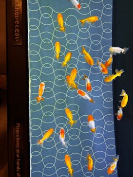 すみだ水族館に投稿された画像（2025/8/18）