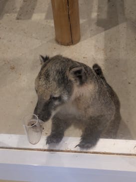 アニタッチPARKイオンモール太田に投稿された画像（2025/8/18）